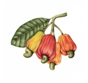 CREMA DE ANACARDOS