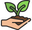 Plantación propia