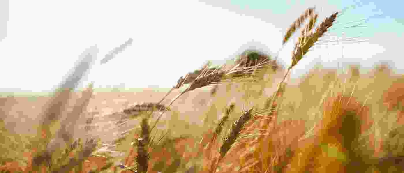 interactive-05
